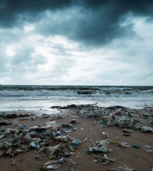 Environmental Impact of Contact Lenses Optical Express